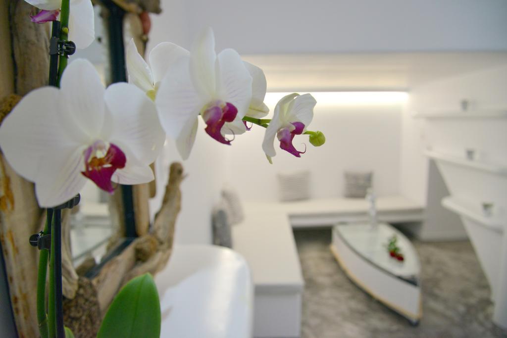 Moschoula Studios Adamantas  Dış mekan fotoğraf